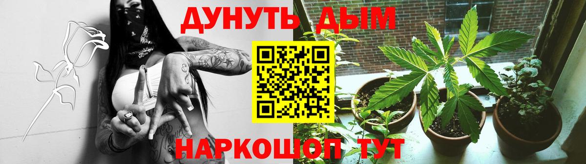 Каннабис индика  Марихуана OG Kush  Ишим  Вход с VPN  Марихуана THC 21%  Конопля LSD WEED 